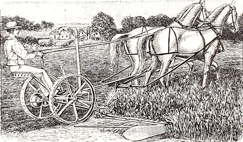 Alte lithographie - alte,