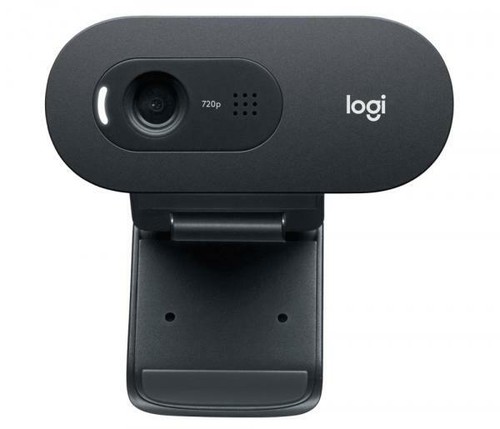 Logitech webcam c505e 720p - webcam,