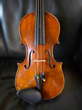 Alte antike Violine Geige