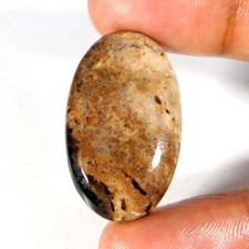 26,25Cts. Natürlicher Indonesien VERSTEINER Palmenachat Oval Cabochon Lose Ed...