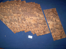 Nussbaum Maser Furnier Wurzelholz   270 x 115 mm     14 Blätter      Nr. 288