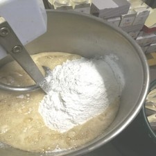 Invert Bienenfutterteig Eiweißfutterteig Königinzucht Schwarm Apidea Miniplus u