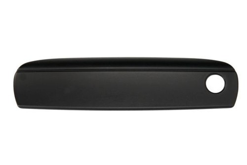 Blic 6010 048401p - 6010-25-048401p, türgriff