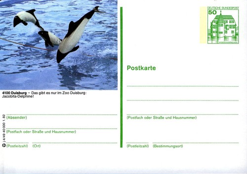 Bildpostkarte - (808),