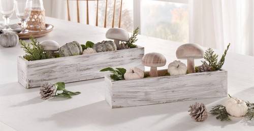 Pflanz kasten shabby aus - pflanz, "shabby"