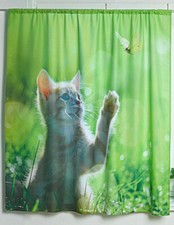 ÜBERGARDINE KATZE MIT