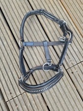 Shetty Halfter Leder