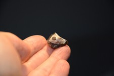 Donnerkeil Belemniten im Stein