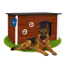 Hundehütte isoliert XXL Nuss