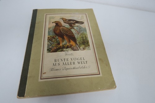 Bunte vögel aus - aus, welt