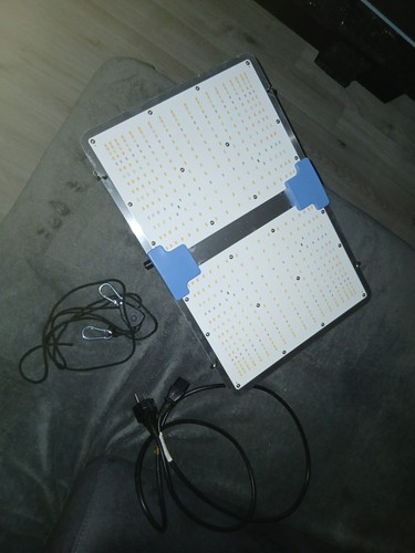 Phlizon led pflanzenlampe grow - phlizon,