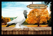 Fußmatte Schmutzfangmatte