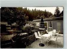 10724364 - 3450 Foal Plaque