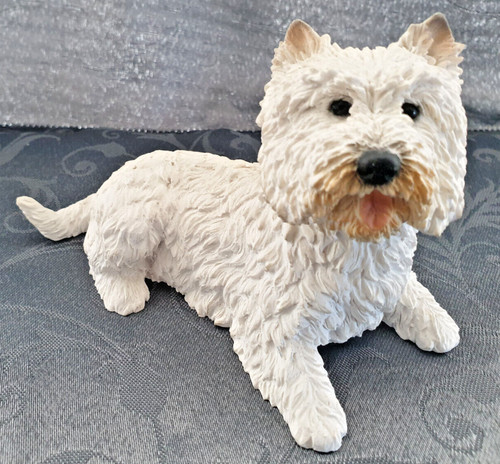 Hund westi west highland - hund, white