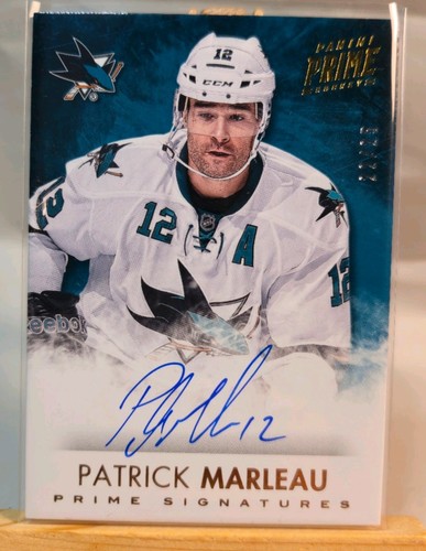 Patrick marleau 2013 panini - patrick, 2013-14