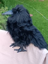 Folkmanis Handpuppe Rabe  35 cm hoch