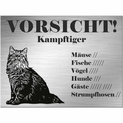 Amerikanische bobtail katze - amerikanische,