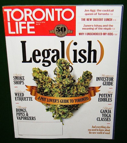 Toronto life magazine - toronto,