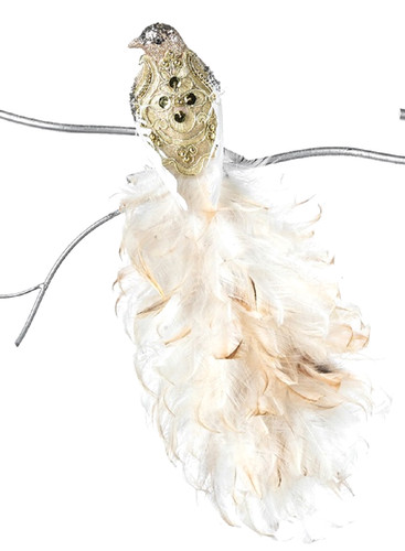 Goodwill zauberhaft pfau - goodwill",