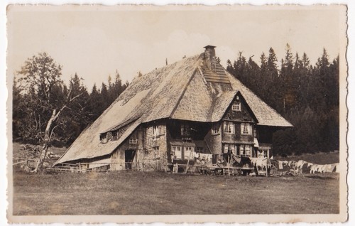 Schwarzwald bauernhaus in - ak,