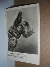 AK Spruch: In Erwartung usw.  Hund( Fox Terrier) Halsband gel.16.6.40