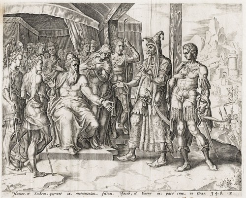 Muller v heemskerck - m.v.,