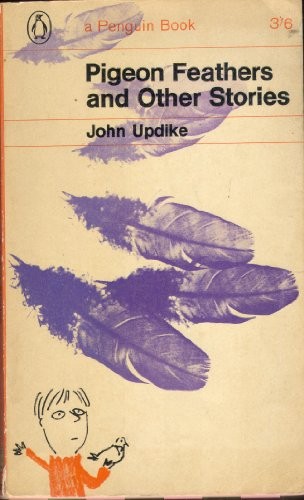 Pigeon feathers and other - feathers,