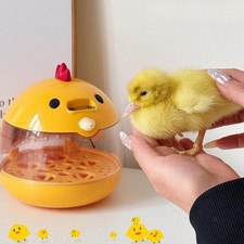 Eier-Inkubator Praktischer Eier-Brutkasten Zum Ausbrüten Von Gänsen Und