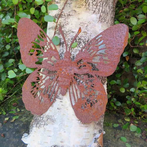 Schmetterling edelrost rost - edelrost,