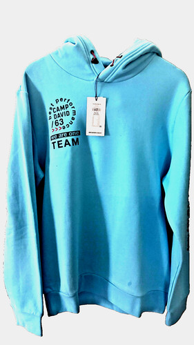 Camp david hoodie - camp,