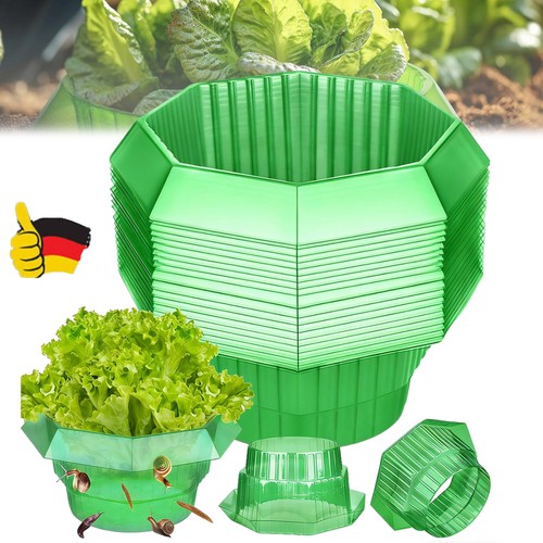 Schneckenkragen
