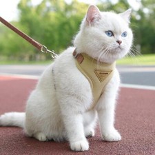 Katzenleine welpenleine - katzenleine, &