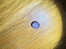 Sternsaphir Cabochon 11,6 ct (2,33 g) – Asterismus Effekt