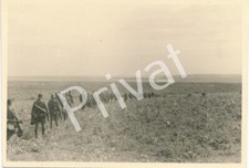 Photo wwii jäger div - photo, 97.jäger-div