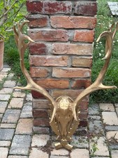 Großes, goldenes Hirschgeweih als Garderobe Design Wild!