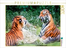 Calvendo puzzle tiger 1000 - puzzle,