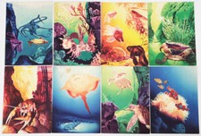 AK. Künstlerkarten Meerestiere. Werbung. Curta & Co. Arzneimittel. Berlin-Britz.