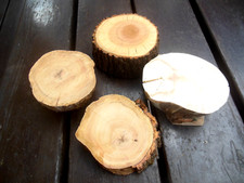 4 Aststücke Baumscheiben