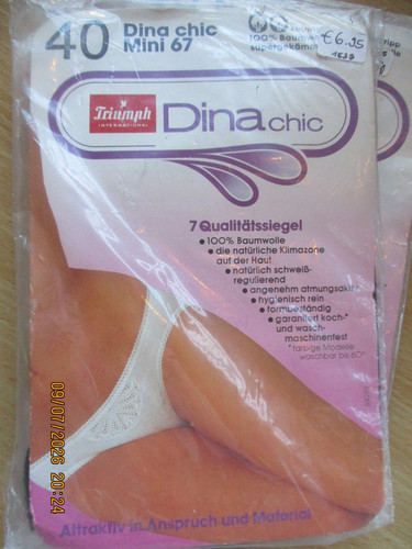 Vintage triumph dina slip - triumph,