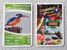 Ozeanien 2 - Wir tauchen auf