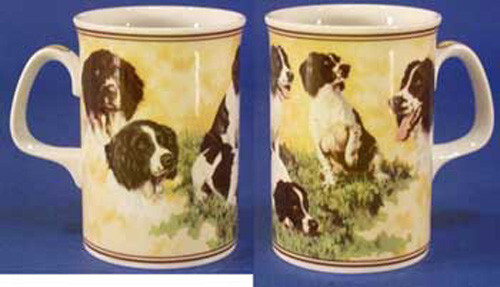 Englischer springer spaniel - springer,