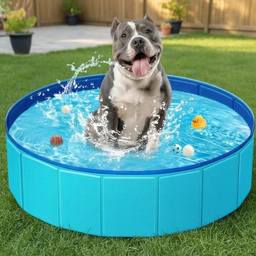Hundepool planschbecken - hundepool,