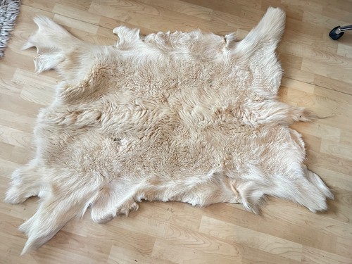 Wunderschönes schneeziegen - wunderschönes,
