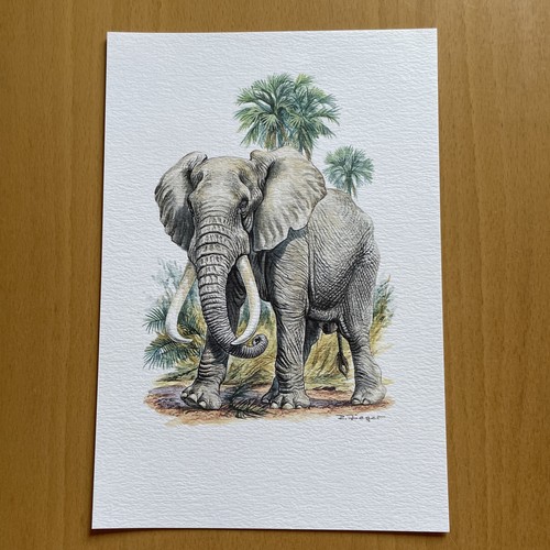 Wie neu kunstdruck - neu",