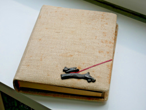 Antikes fotoalbum leeralbum - antikes,