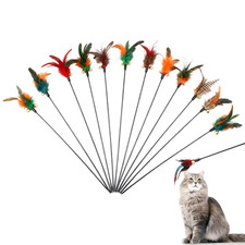 12 Stück Federspielzeug Für