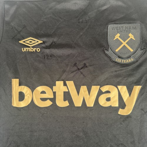West ham united fußball - ham,