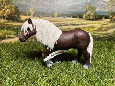Schleich 13663 Schwarzwälder