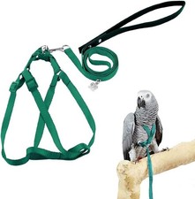 Vogelgeschirr Und Leine FüR