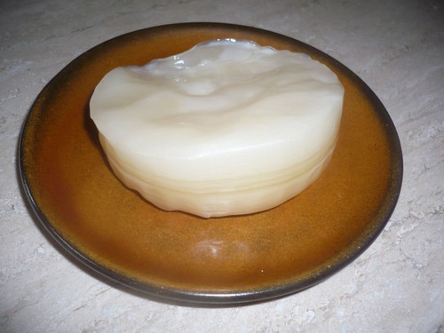 Kombucha pilz mit - kombucha,
